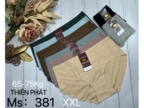 QUẦN SU THIÊN PHÁT 381 - LỐC 10 CÁI